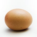 brown egg closeup Royalty Free Stock Photo