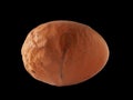 A brown egg with a deformed shell, isolated on a black background. Ugly red chicken egg close-up. Egg isolated on black Royalty Free Stock Photo