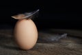 Brown Egg with Feather Royalty Free Stock Photo