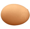 Brown egg isolated Royalty Free Stock Photo