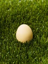 Brown egg isolated Royalty Free Stock Photo