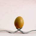 Brown egg lies on crossed forks as an egg stand on a pink background