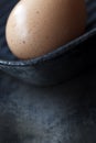 Brown Egg in Pan Royalty Free Stock Photo