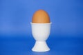 A brown egg in a white egg cup on a blue background Royalty Free Stock Photo