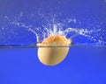 A brown egg splashing into water Royalty Free Stock Photo