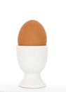 Raw brown egg on a pedestal