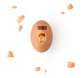 Brown egg top view with can opener and bar code on white background Royalty Free Stock Photo