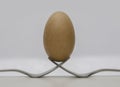 Brown egg with two forks Royalty Free Stock Photo