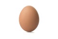 A brown egg on white background Royalty Free Stock Photo
