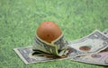 Brown egg wrapped in one dollar bill Royalty Free Stock Photo