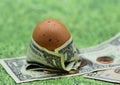 Brown egg wrapped in one dollar bill Royalty Free Stock Photo