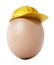 Brown egg with yellow hardhat. 3D illustration Royalty Free Stock Photo