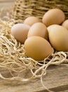 Brown eggs