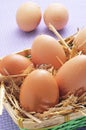 Brown eggs in a basket Royalty Free Stock Photo