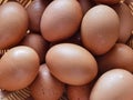 Brown eggs in the basket Royalty Free Stock Photo