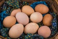 Brown Eggs in a basket Royalty Free Stock Photo