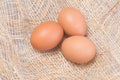 Brown eggs are beautiful and