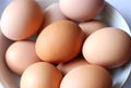 Brown Eggs in a Bowl Royalty Free Stock Photo