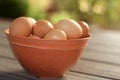 Brown eggs in bowl