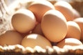 Brown eggs in a brown basket Royalty Free Stock Photo