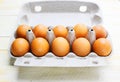 Brown eggs in a cardboard box. Fresh organic chicken eggs in carton or egg container with copy space Close-up view of Royalty Free Stock Photo