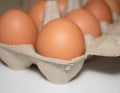 Brown eggs in cardboard packaging close up Royalty Free Stock Photo