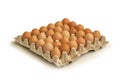 Brown Eggs in Cardboard Tray Royalty Free Stock Photo