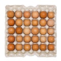 Brown Eggs in Cardboard Tray Royalty Free Stock Photo