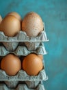 Brown eggs in a carton against a teal background. Royalty Free Stock Photo