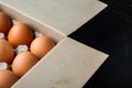 Brown eggs in carton box tray  on black background   with space for text copyspace Royalty Free Stock Photo