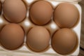 Brown eggs in carton Royalty Free Stock Photo