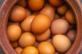 Brown hen eggs Royalty Free Stock Photo