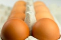 The brown eggs in egg box Royalty Free Stock Photo