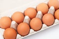 Brown eggs in egg box. Closeup Royalty Free Stock Photo