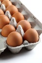 Brown Eggs in an Egg Carton Royalty Free Stock Photo