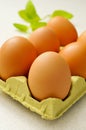 Brown eggs in an egg carton Royalty Free Stock Photo