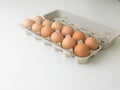 Brown Eggs In Egg Carton