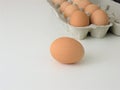 Brown Eggs In Egg Carton
