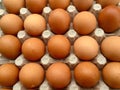 Brown eggs in Royalty Free Stock Photo