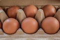 Brown eggs from happy chickens Royalty Free Stock Photo