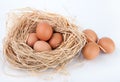 Brown eggs at hay nest in chicken farm Royalty Free Stock Photo