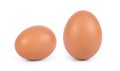 Two brown eggs isolated on white background cutout Royalty Free Stock Photo