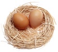 Brown Eggs in a Nest Royalty Free Stock Photo