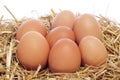 Brown eggs in a nest Royalty Free Stock Photo