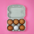 Brown eggs with one white egg in a paper tray Royalty Free Stock Photo