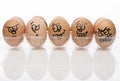 Brown eggs over white background Royalty Free Stock Photo