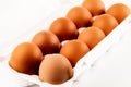 Brown eggs in plastic package on white background Royalty Free Stock Photo