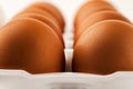 Brown eggs in plastic package on white background Royalty Free Stock Photo