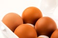Brown eggs in plastic package on white background Royalty Free Stock Photo