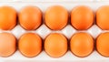 Brown eggs in plastic package on white background Royalty Free Stock Photo